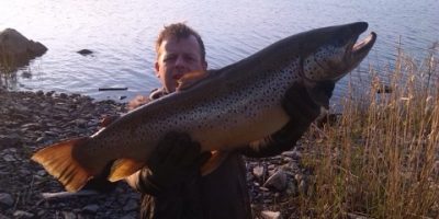 14 lb brown trout to Lough Muckno angler.jpg